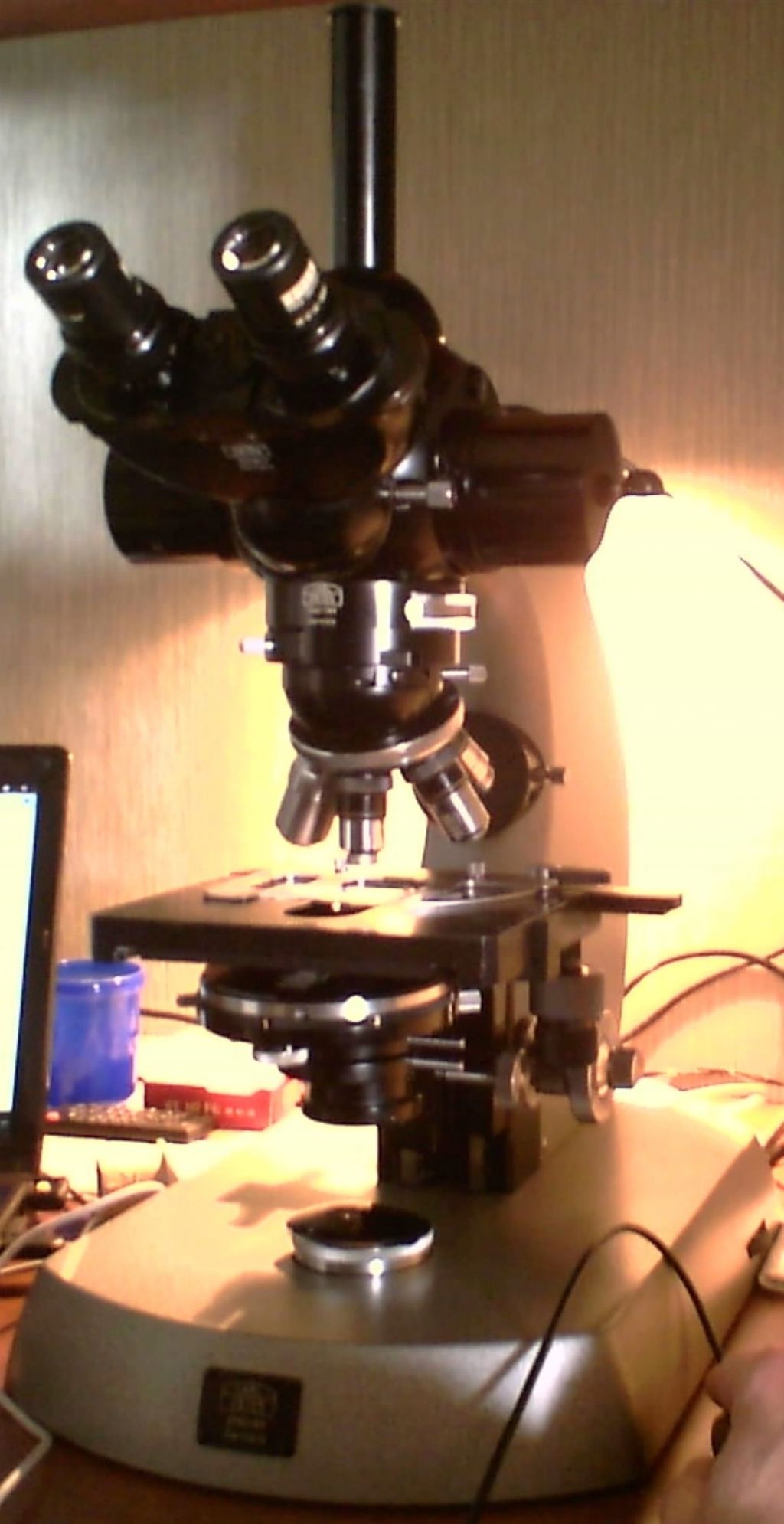 Zeiss Universal